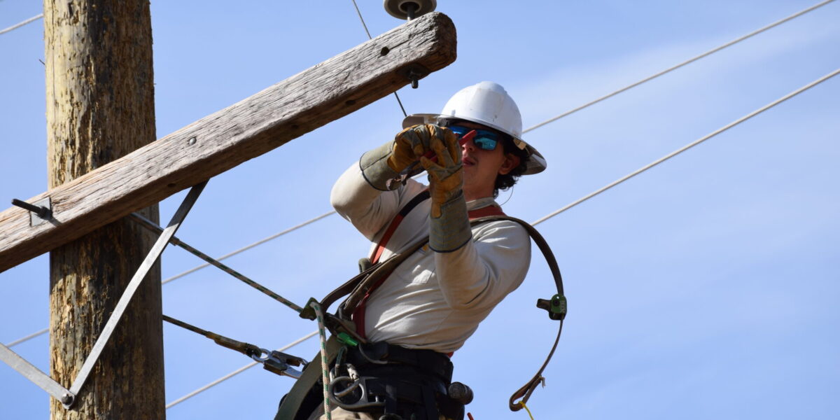 Photo of lineman on pole